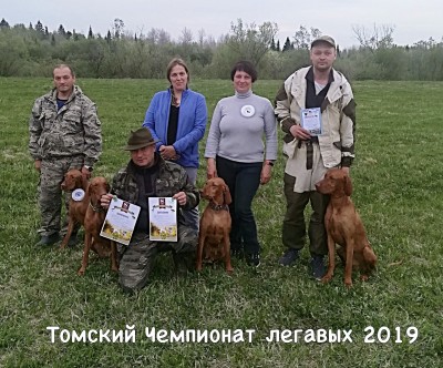 Выжлы Сибири на Чемпионате легавых собак в Томске