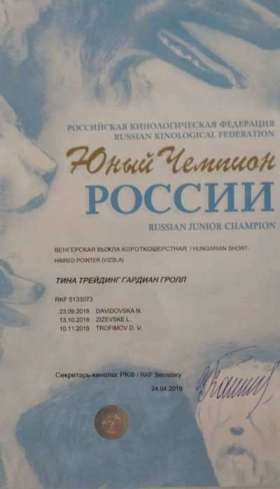 Тина Трейдинг Гардиан Гролл - Юный Чемпион России